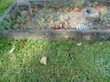 image of grave number 583234